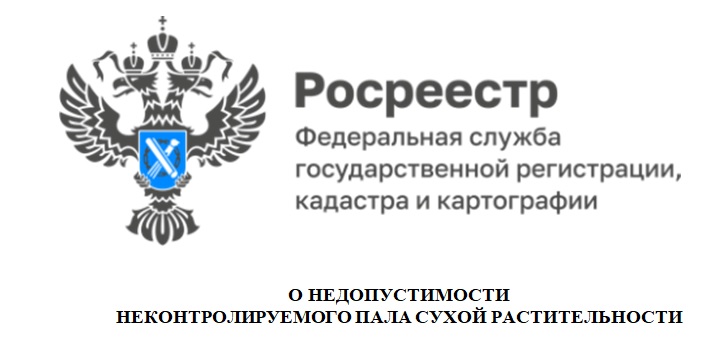 О НЕДОПУСТИМОСТИ НЕКОНТРОЛИРУЕМОГО ПАЛА СУХОЙ РАСТИТЕЛЬНОСТИ.